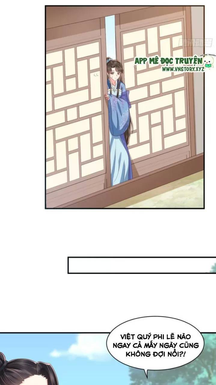 Độc Phi Ngu Ngốc Không Thể Chọc Chapter 169 - 12