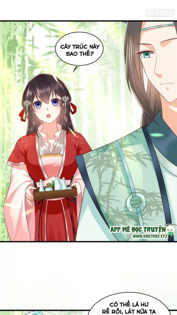 Độc Phi Ngu Ngốc Không Thể Chọc Chapter 171 - 10