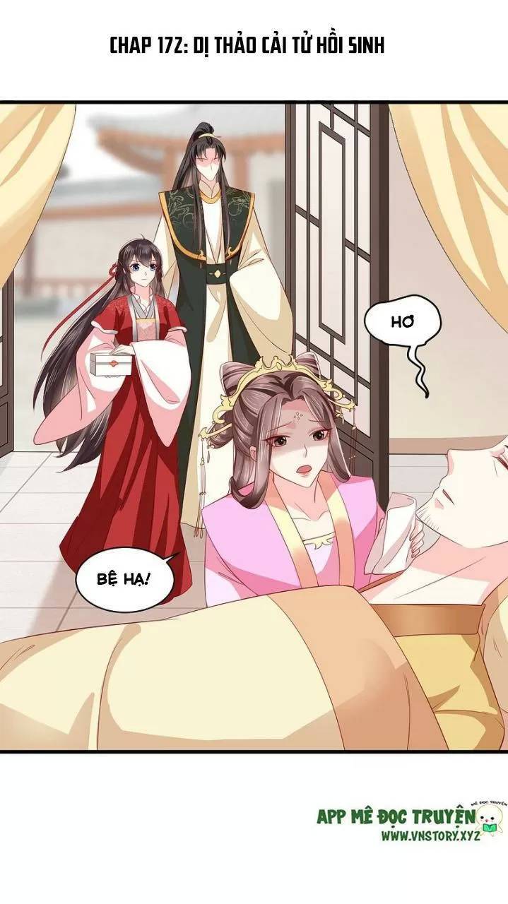 Độc Phi Ngu Ngốc Không Thể Chọc Chapter 172 - 1