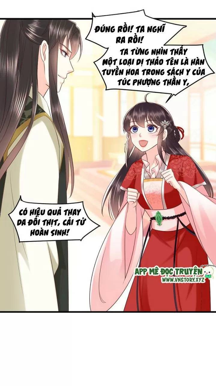 Độc Phi Ngu Ngốc Không Thể Chọc Chapter 172 - 15