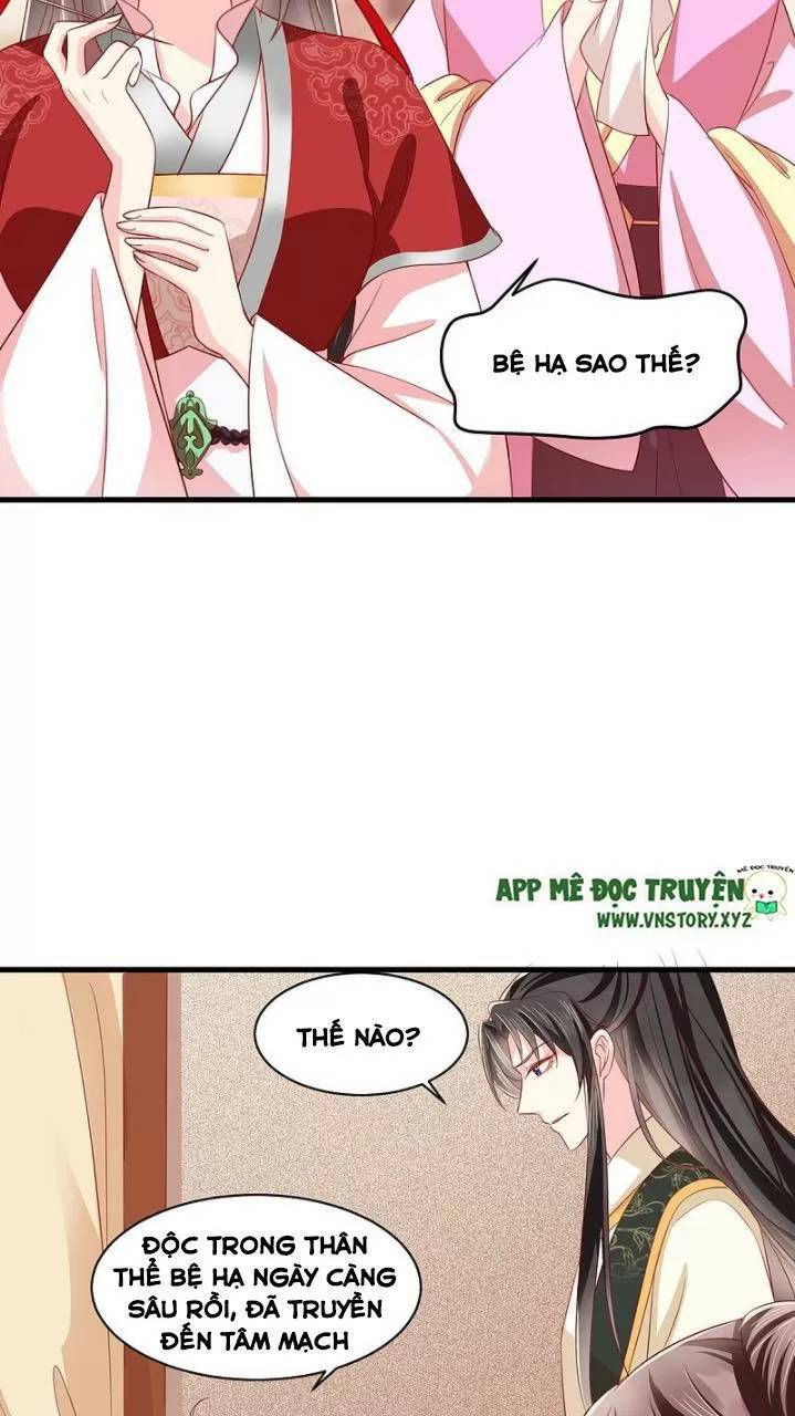 Độc Phi Ngu Ngốc Không Thể Chọc Chapter 172 - 6