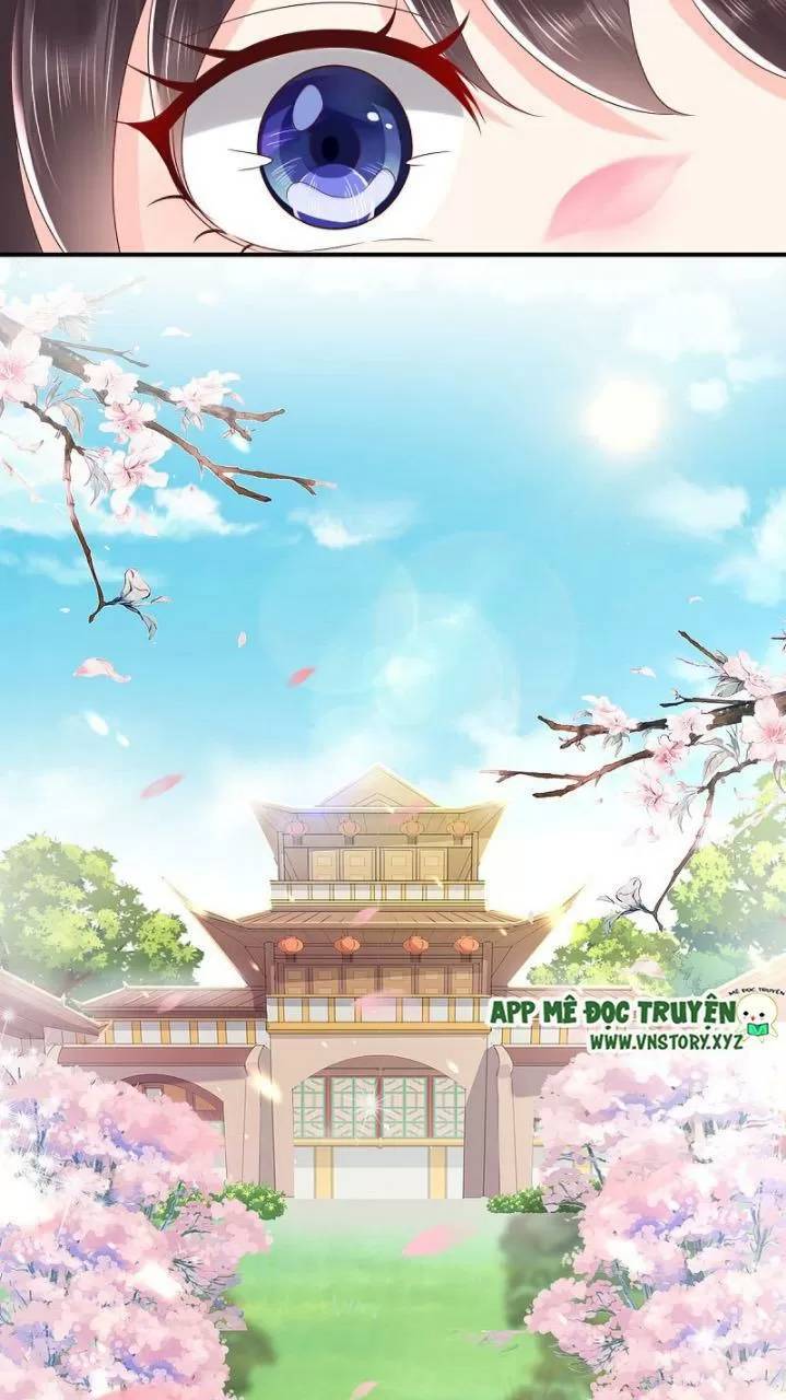 Độc Phi Ngu Ngốc Không Thể Chọc Chapter 173 - 16