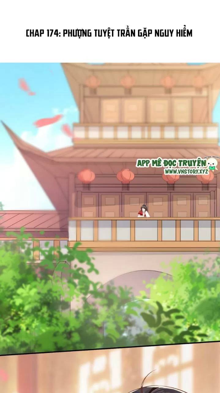 Độc Phi Ngu Ngốc Không Thể Chọc Chapter 174 - 1