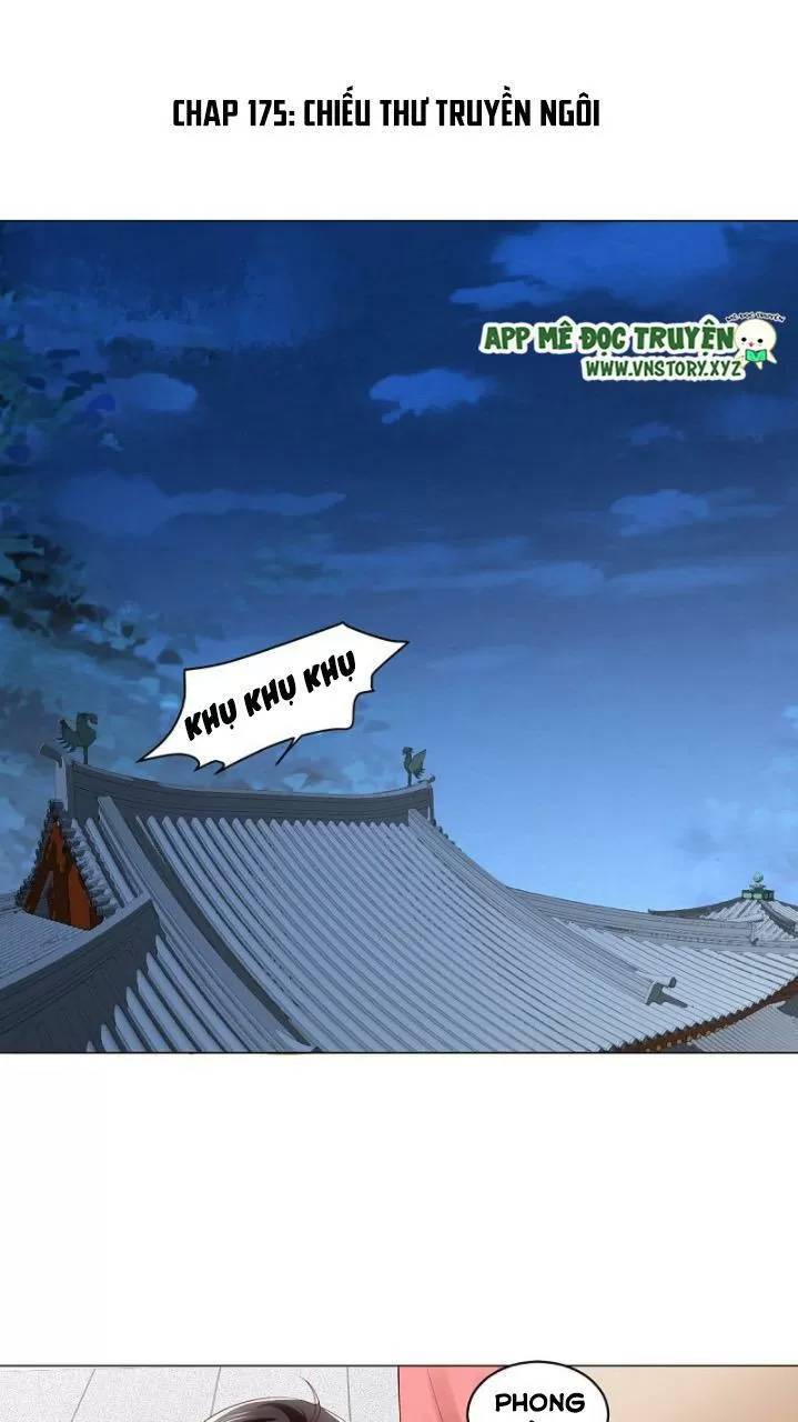 Độc Phi Ngu Ngốc Không Thể Chọc Chapter 175 - 1