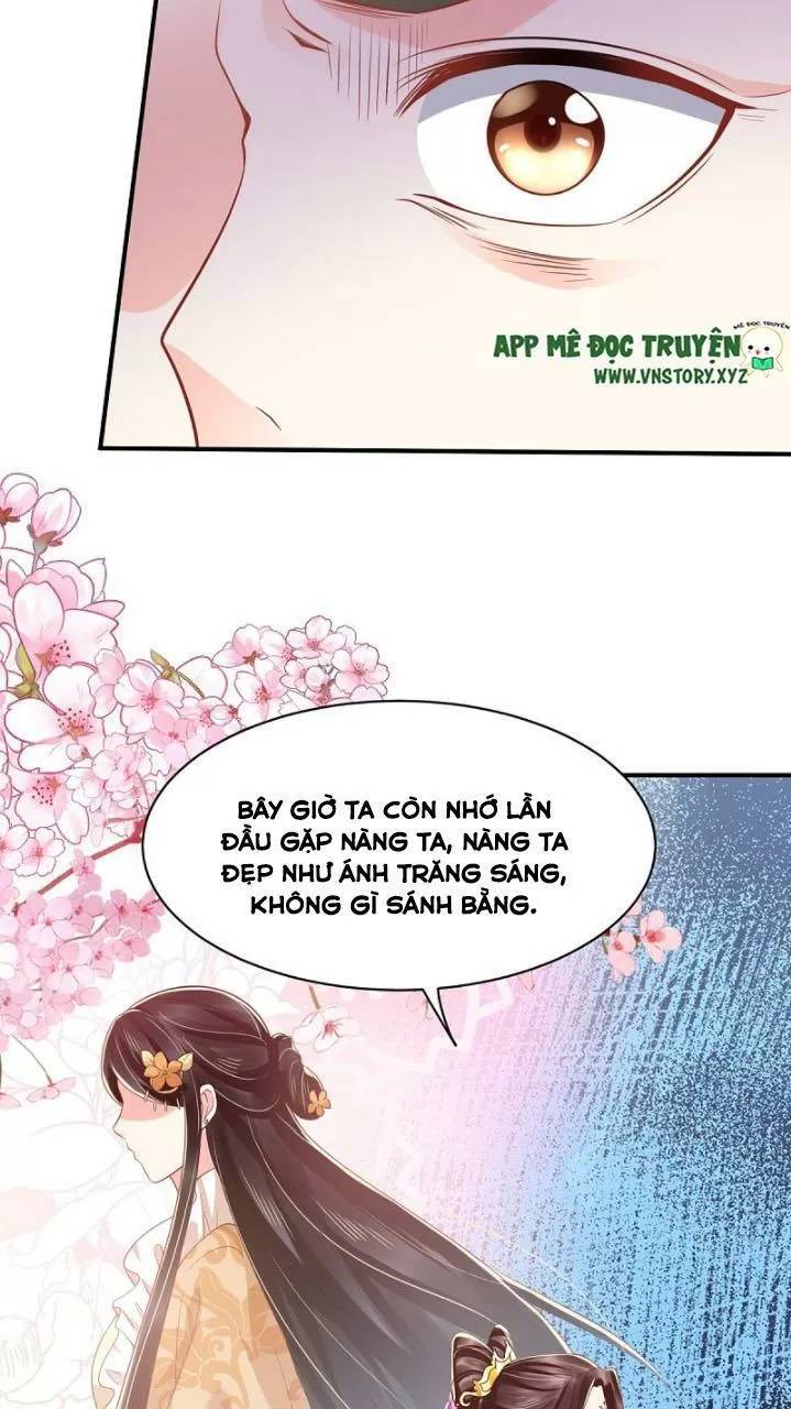 Độc Phi Ngu Ngốc Không Thể Chọc Chapter 178 - 14