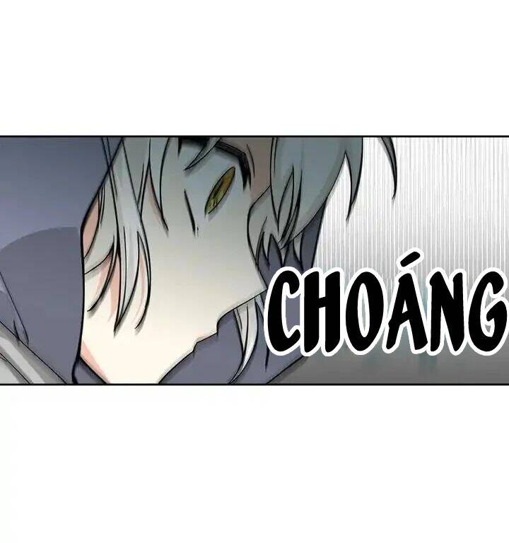 Thú Cưng Của Nữ Phụ Độc Ác Chapter 14 - 22