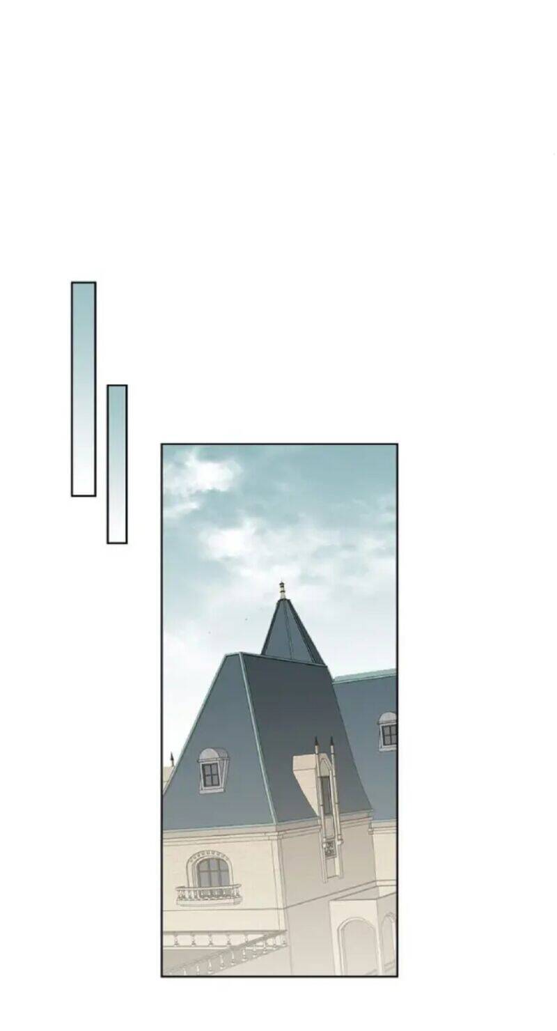 Thú Cưng Của Nữ Phụ Độc Ác Chapter 16 - 31