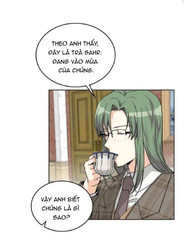 Thú Cưng Của Nữ Phụ Độc Ác Chapter 16 - 51