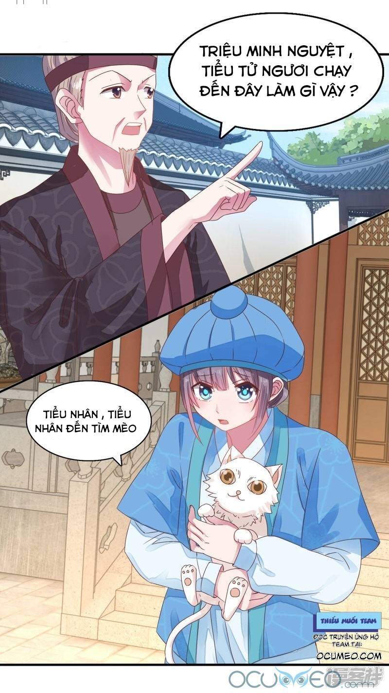 Tư Sủng Âm Dương Phi Chapter 19 - 7