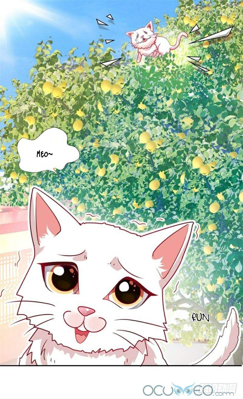 Tư Sủng Âm Dương Phi Chapter 9 - 15