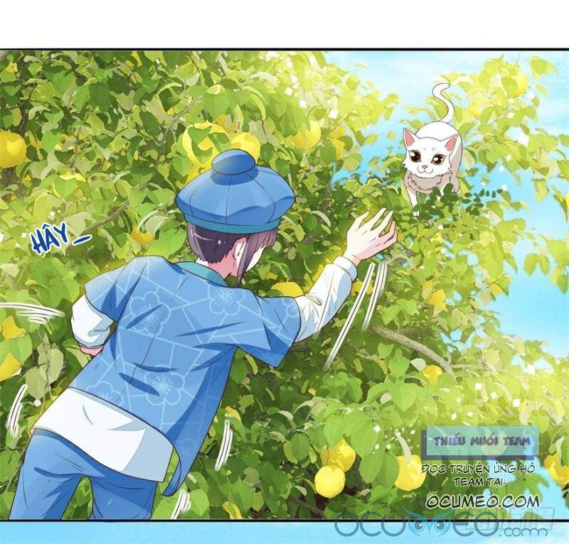 Tư Sủng Âm Dương Phi Chapter 9 - 21