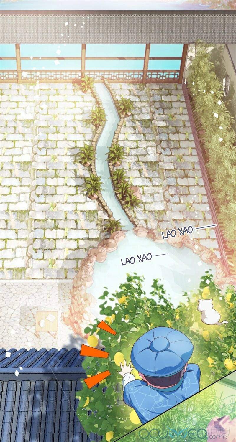 Tư Sủng Âm Dương Phi Chapter 9 - 23