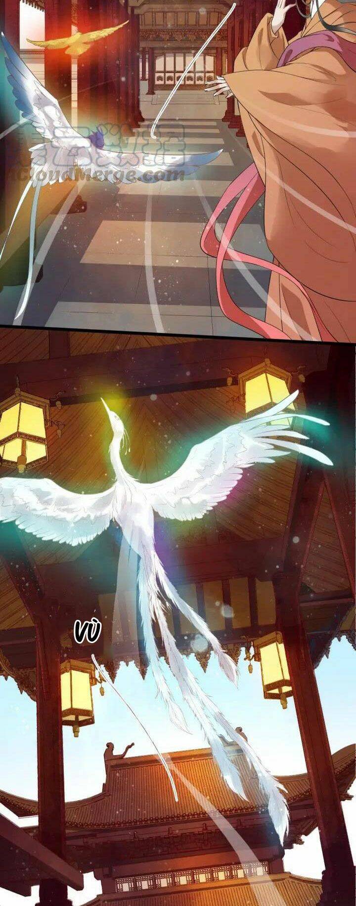 Bồng Sơn Viễn 2 Chapter 18 - 18