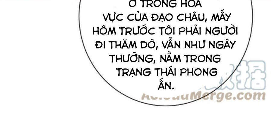 Cái Thế Đế Tôn Chapter 237 - 16