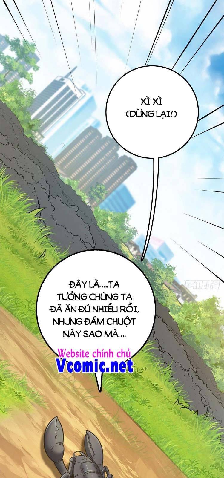 Đại Vương Tha Mạng Chapter 395 - 6