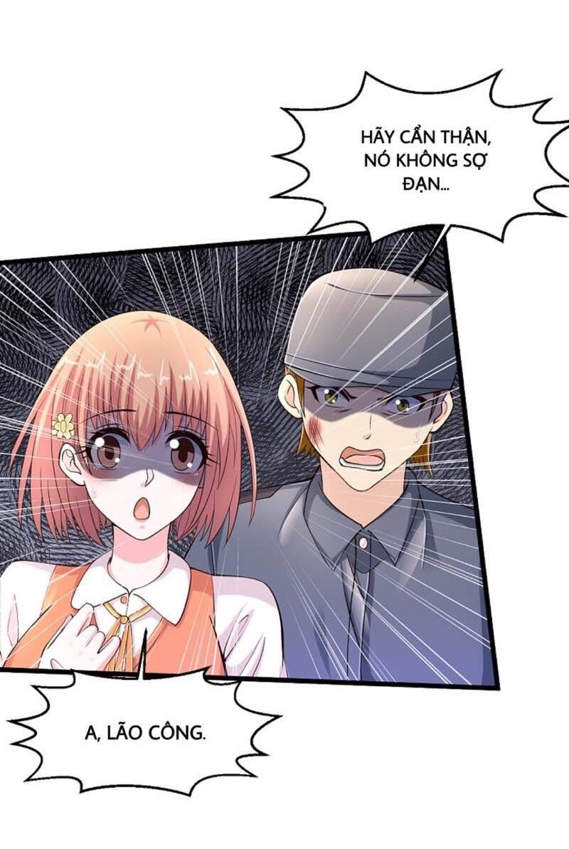 Tuyệt Phẩm Y Thánh Chapter 184 - 6