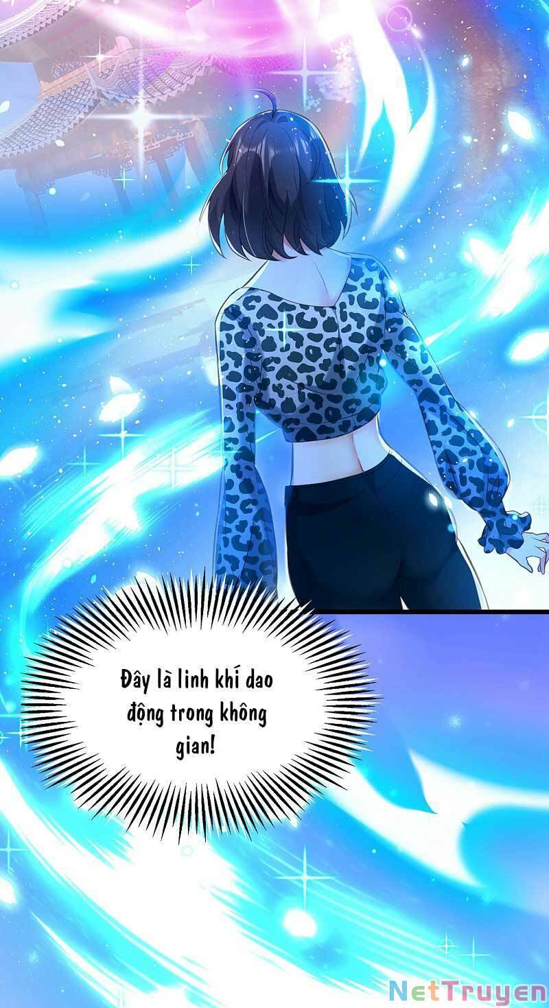 Trùng Sinh Không Gian: Cô Vợ Hào Môn Nóng Bỏng Không Dễ Chọc Chapter 109 - 16