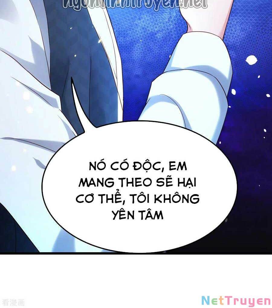 Trùng Sinh Không Gian: Cô Vợ Hào Môn Nóng Bỏng Không Dễ Chọc Chapter 122 - 11