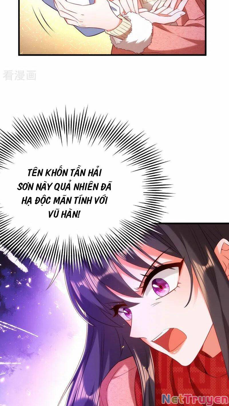 Trùng Sinh Không Gian: Cô Vợ Hào Môn Nóng Bỏng Không Dễ Chọc Chapter 163 - 12