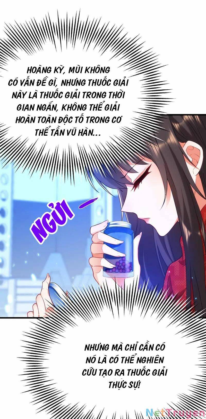 Trùng Sinh Không Gian: Cô Vợ Hào Môn Nóng Bỏng Không Dễ Chọc Chapter 163 - 21