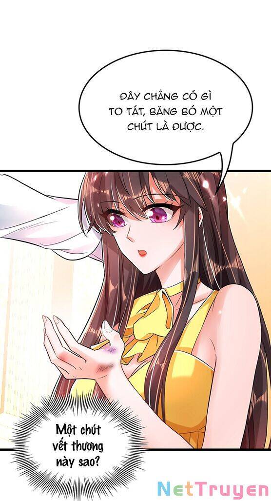 Trùng Sinh Không Gian: Cô Vợ Hào Môn Nóng Bỏng Không Dễ Chọc Chapter 63 - 7