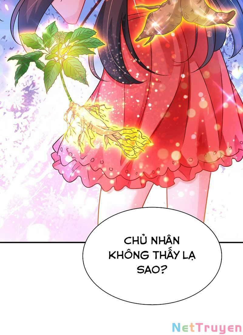 Trùng Sinh Không Gian: Cô Vợ Hào Môn Nóng Bỏng Không Dễ Chọc Chapter 76 - 43