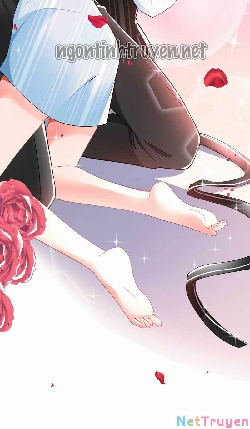 Trùng Sinh Không Gian: Cô Vợ Hào Môn Nóng Bỏng Không Dễ Chọc Chapter 81 - 20