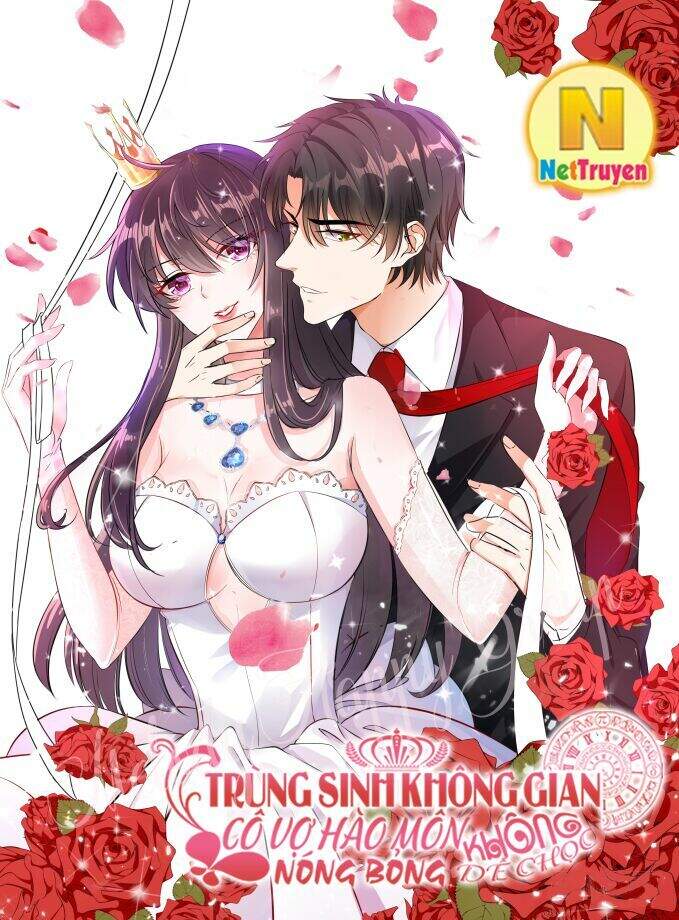 Trùng Sinh Không Gian: Cô Vợ Hào Môn Nóng Bỏng Không Dễ Chọc Chapter 1.5 - 3