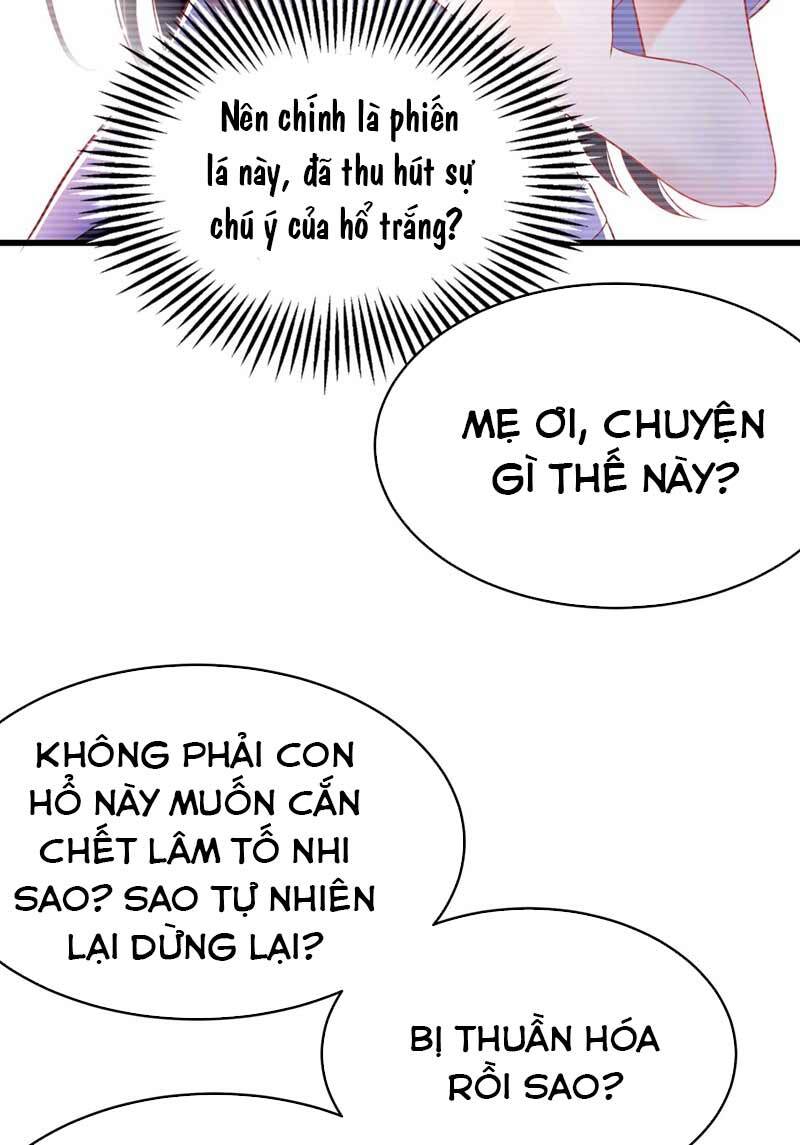Trùng Sinh Không Gian: Cô Vợ Hào Môn Nóng Bỏng Không Dễ Chọc Chapter 57 - 17
