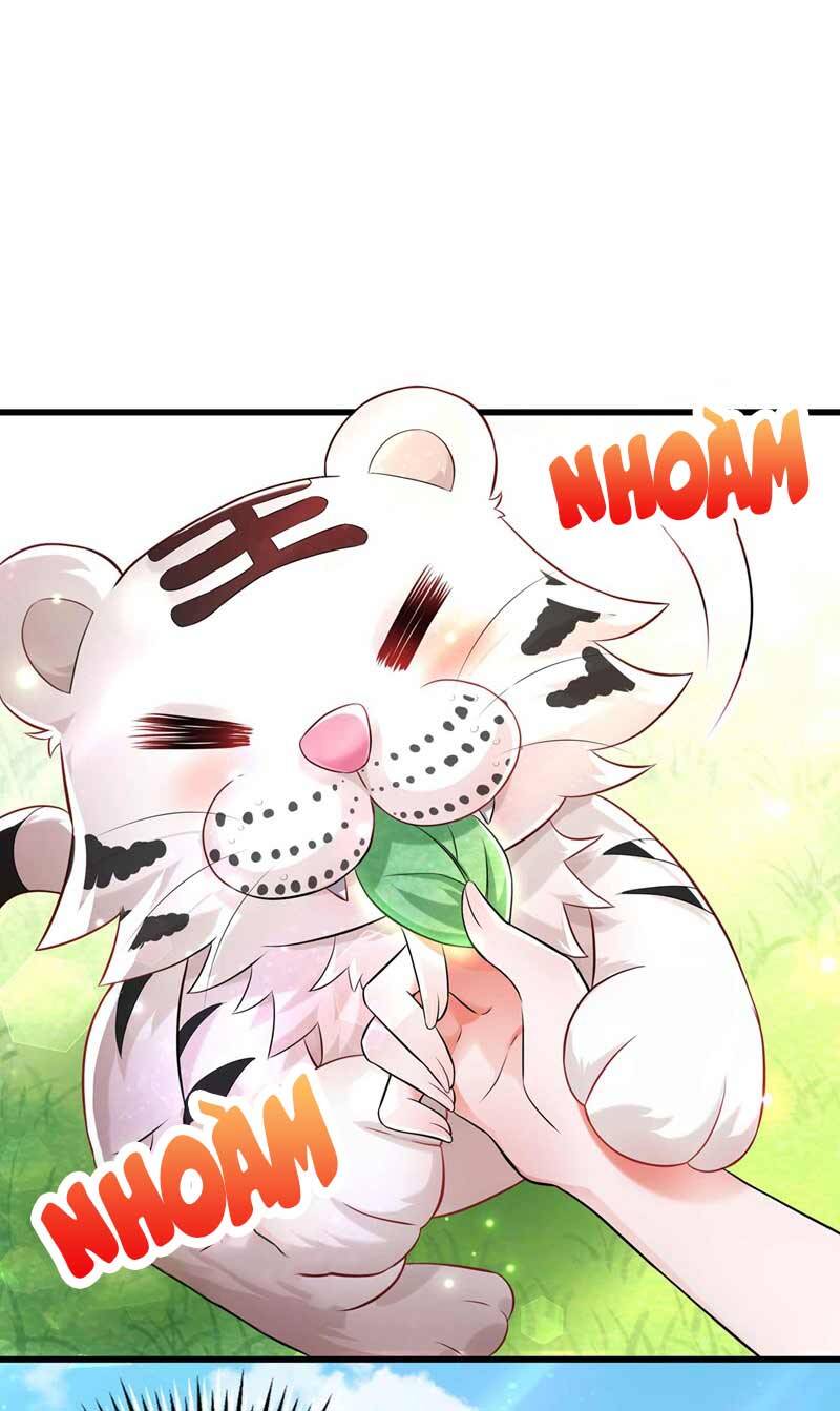 Trùng Sinh Không Gian: Cô Vợ Hào Môn Nóng Bỏng Không Dễ Chọc Chapter 57 - 21