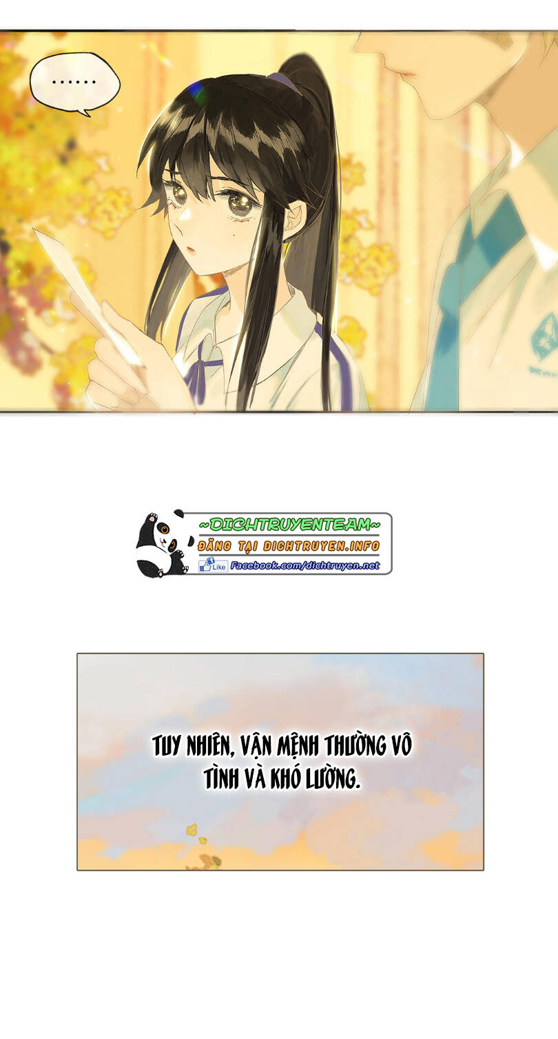 Lưu Hoa Bất Cập Xuân Chapter 47.5 - 11