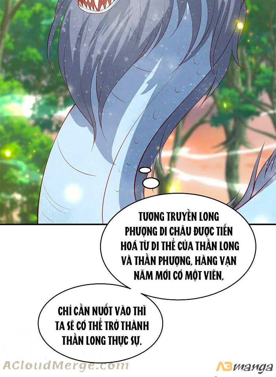 Phượng Hoàng Thác: Chuyên Sủng Khí Thê Chapter 211 - 31