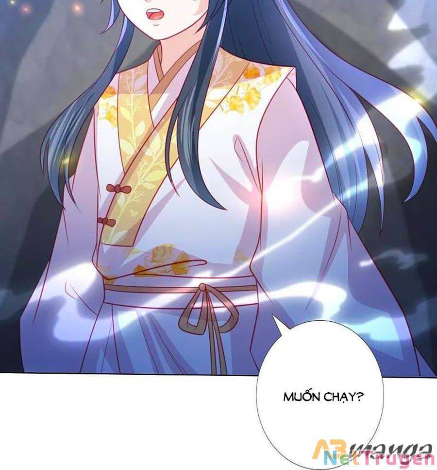 Phượng Hoàng Thác: Chuyên Sủng Khí Thê Chapter 222 - 27