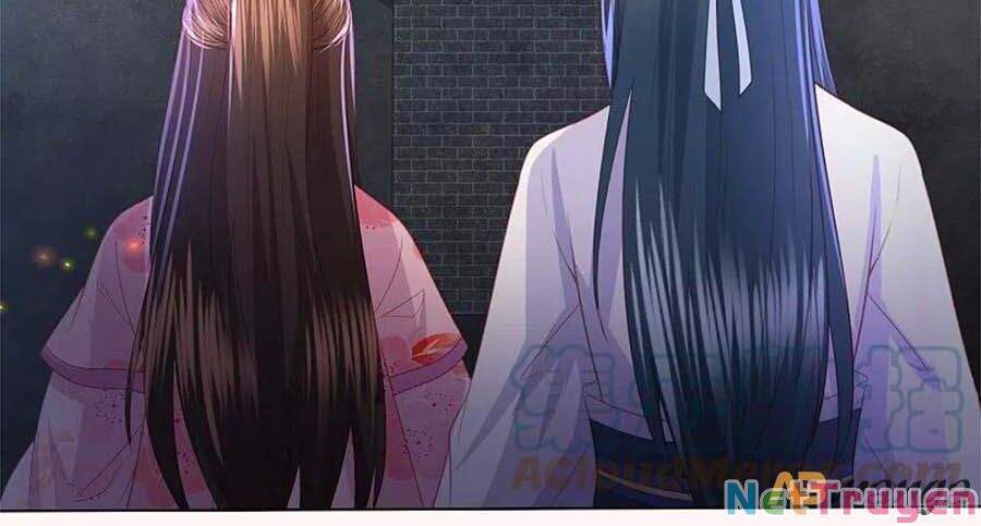 Phượng Hoàng Thác: Chuyên Sủng Khí Thê Chapter 232 - 20