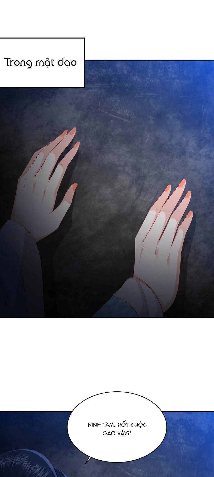 Phượng Hoàng Thác: Chuyên Sủng Khí Thê Chapter 133 - 8