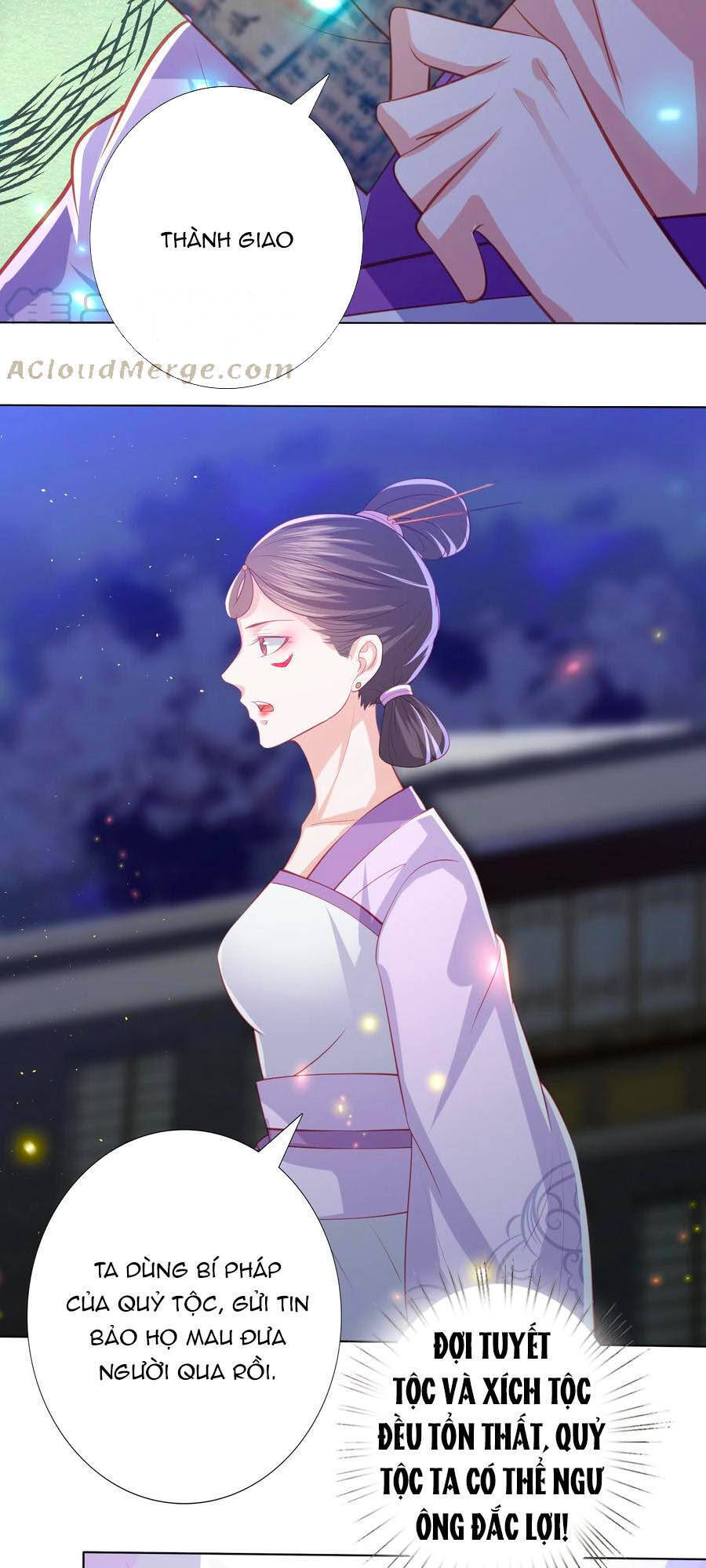 Phượng Hoàng Thác: Chuyên Sủng Khí Thê Chapter 181 - 8