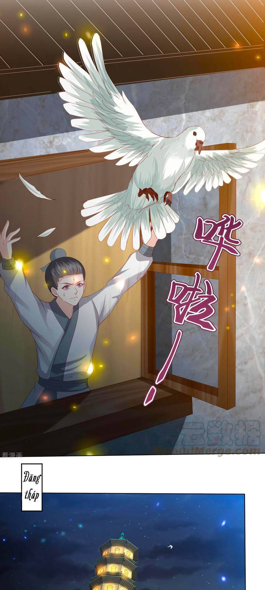 Phượng Hoàng Thác: Chuyên Sủng Khí Thê Chapter 191 - 11