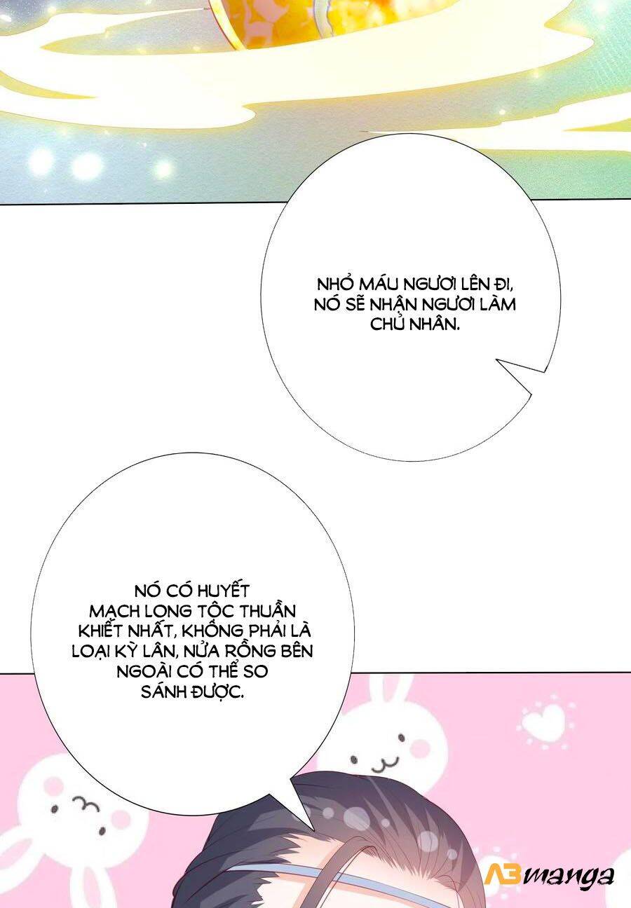 Phượng Hoàng Thác: Chuyên Sủng Khí Thê Chapter 195 - 26