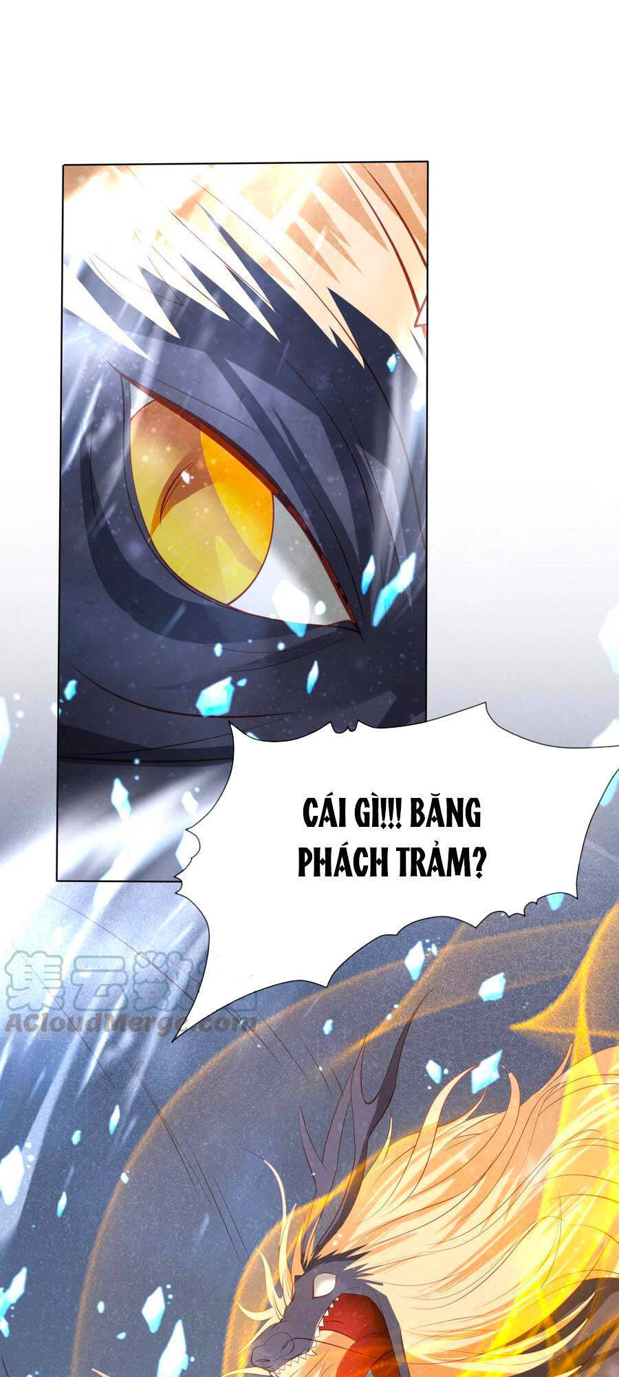 Phượng Hoàng Thác: Chuyên Sủng Khí Thê Chapter 196 - 5