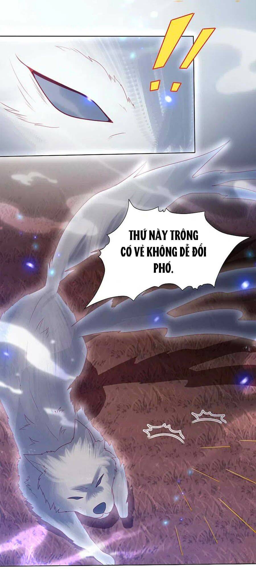 Phượng Hoàng Thác: Chuyên Sủng Khí Thê Chapter 210 - 20