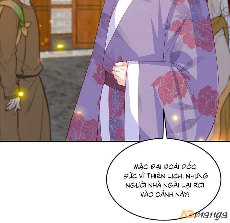 Phượng Hoàng Thác: Chuyên Sủng Khí Thê Chapter 227 - 30