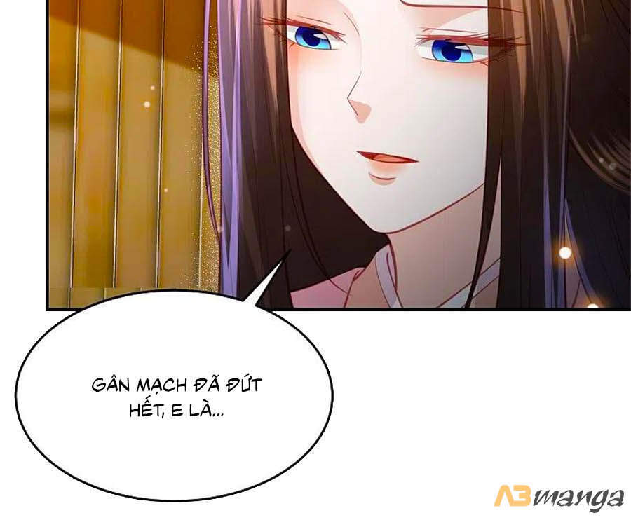 Phượng Hoàng Thác: Chuyên Sủng Khí Thê Chapter 231 - 5