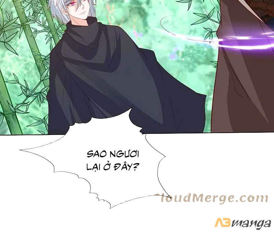 Phượng Hoàng Thác: Chuyên Sủng Khí Thê Chapter 236 - 21