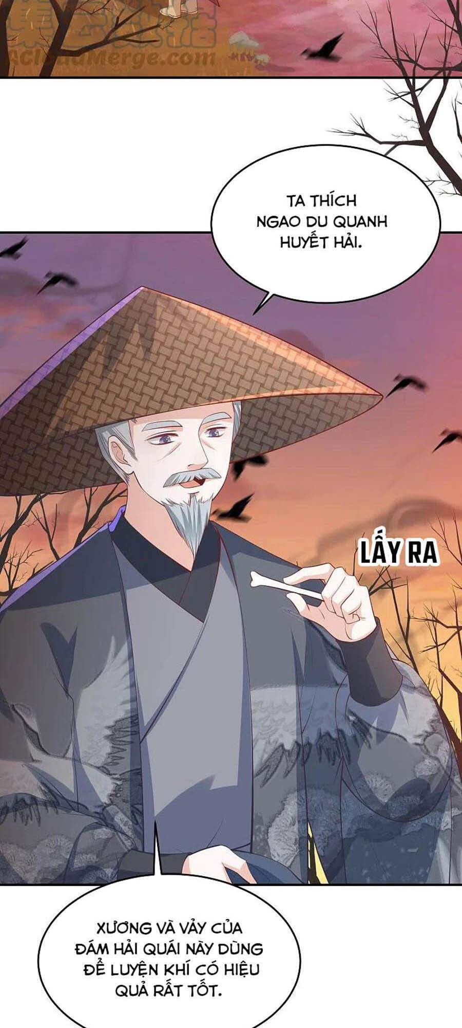 Phượng Hoàng Thác: Chuyên Sủng Khí Thê Chapter 241 - 2