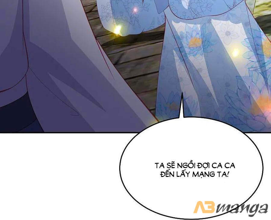 Phượng Hoàng Thác: Chuyên Sủng Khí Thê Chapter 225 - 24