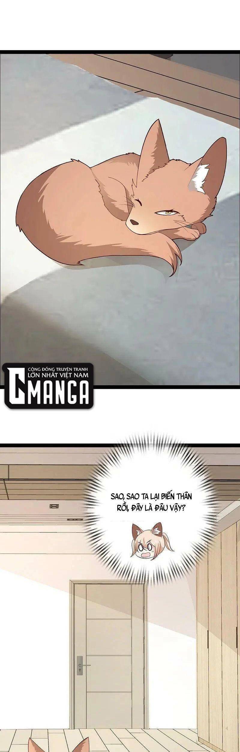 Tối Cường Vận Đào Hoa Chapter 276 - 1