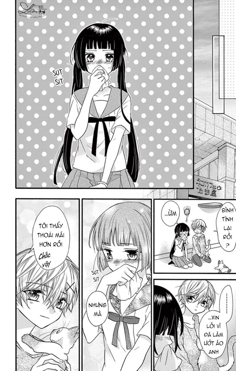 Chàng Rể Giả Nhân Giả Nghĩa Chapter 19 - 25