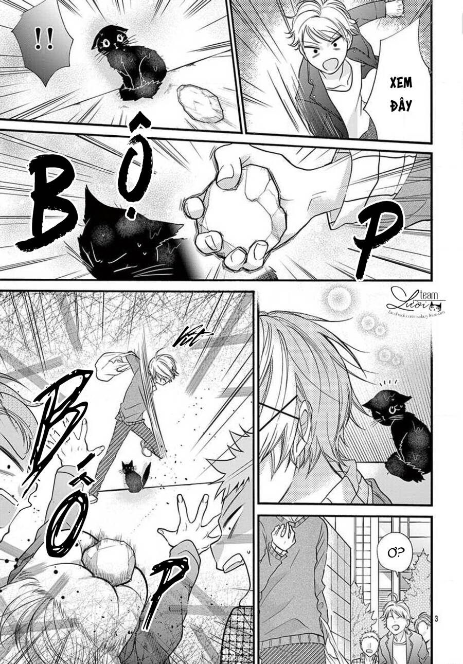 Chàng Rể Giả Nhân Giả Nghĩa Chapter 20.5 - 5