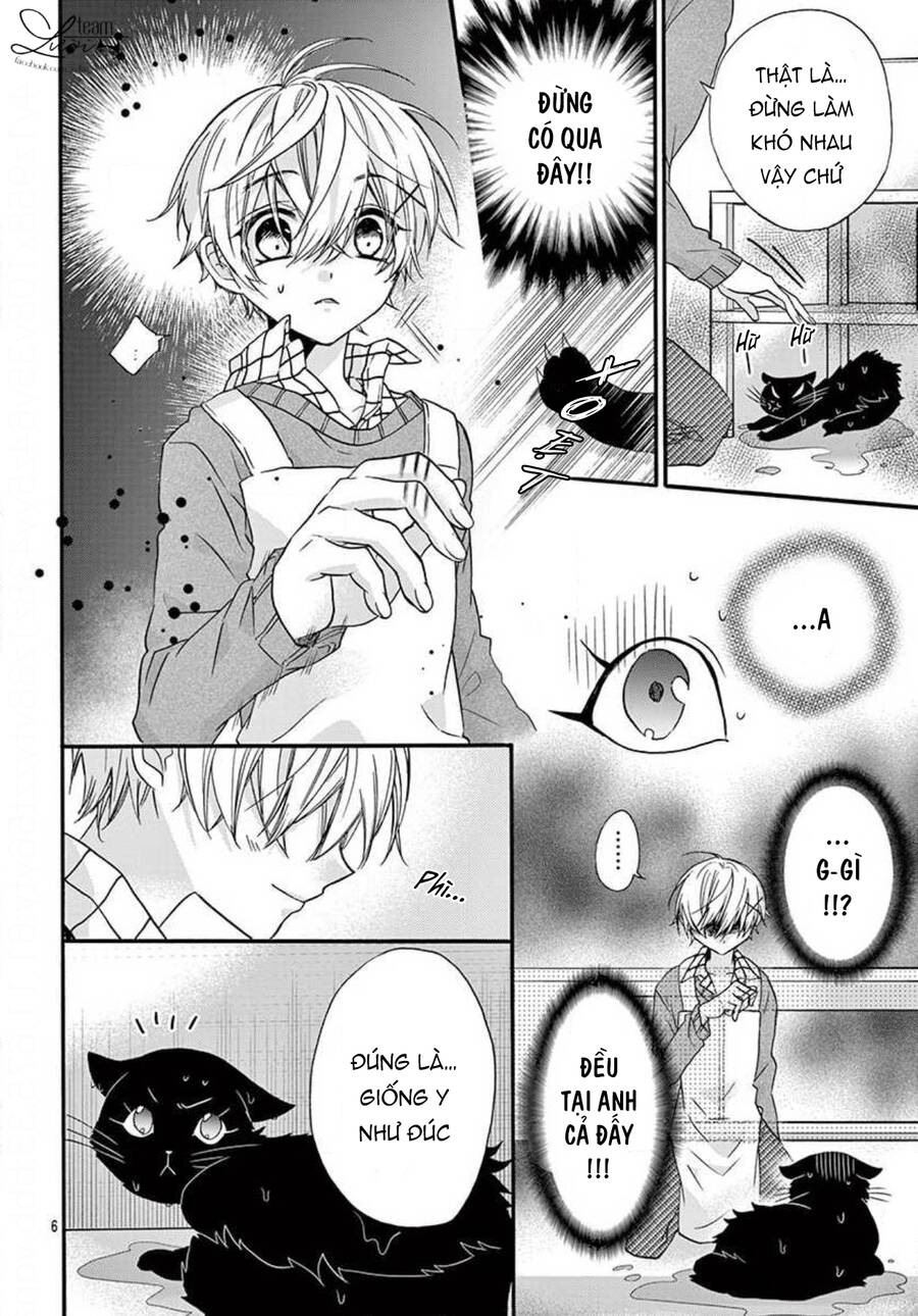 Chàng Rể Giả Nhân Giả Nghĩa Chapter 20.5 - 8