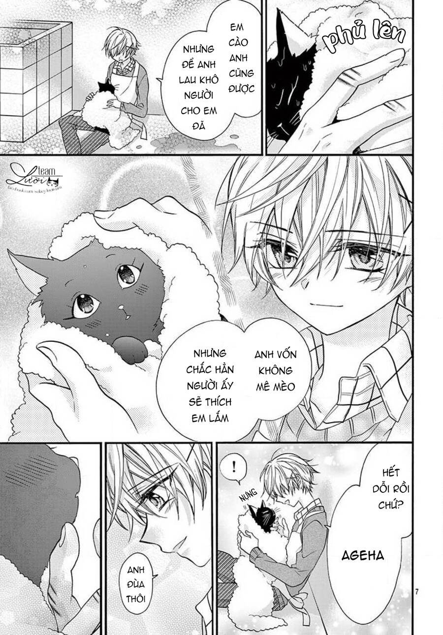 Chàng Rể Giả Nhân Giả Nghĩa Chapter 20.5 - 9